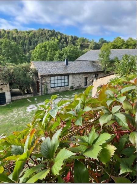 Hotel Le Chateau Brangoly (adults Only)